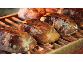 Vend boulangerie-pâtisserie en village des Landes - 40-216