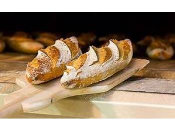 A vendre boulangerie-snacking pte ville des Landes - Ref 40-504