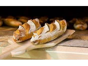 A reprendre boulangerie snacking secteur Gironde - 33-336