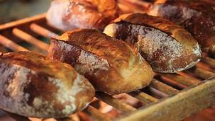 BOULANGERIES PATISSERIE SNACKING REF 64-420