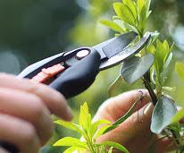 A ceder cause retraite Entreprise de PAYSAGISTE-CREATION ET AMENAGEMENT DE JARDIN-ELAGAGE - Ref : 32-1258	 				