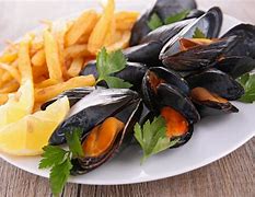 MOULERIE-FRUITS DE MER-BURGER - Ref : 33-649