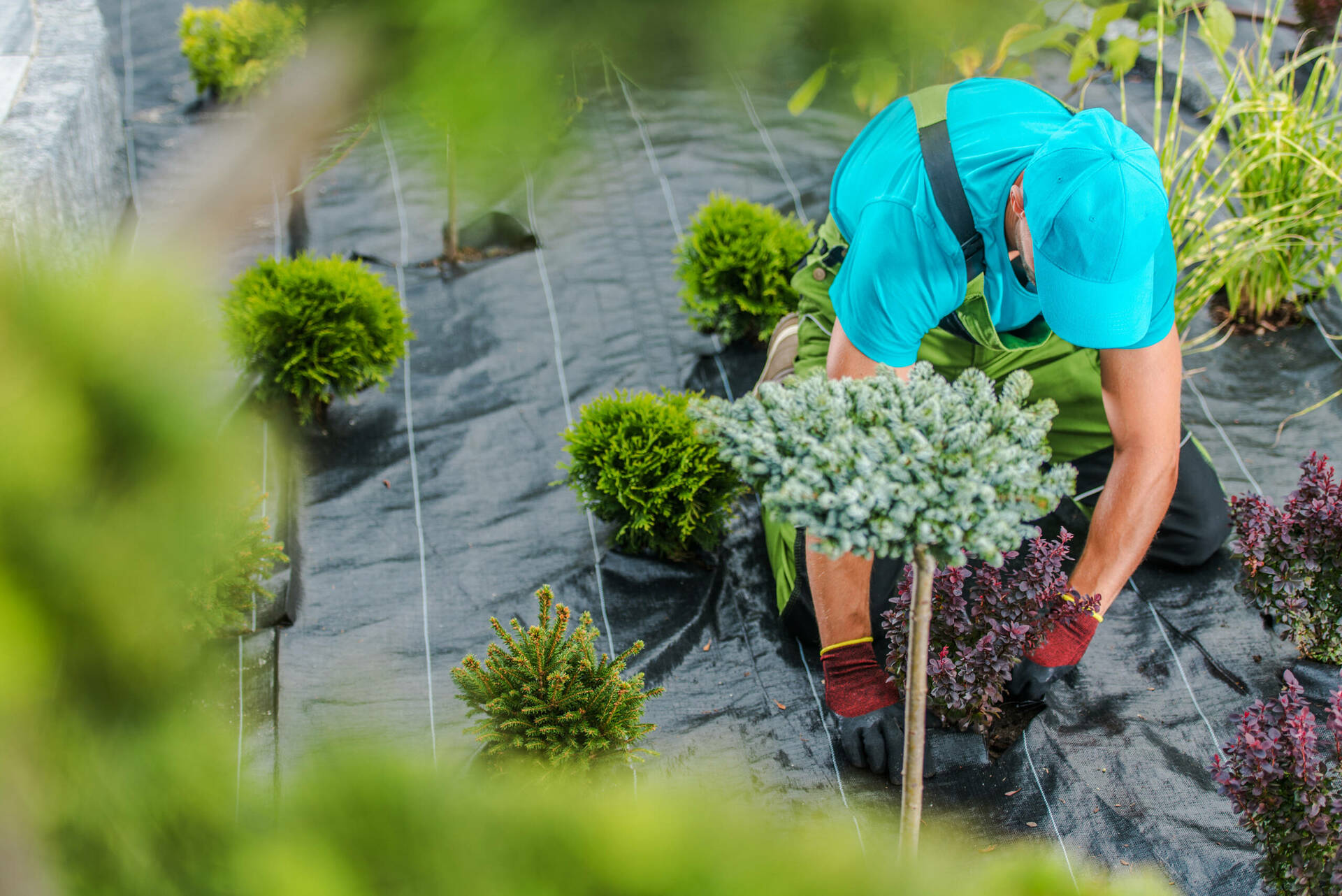 A ceder cause retraite Entreprise de PAYSAGISTE-CREATION ET AMENAGEMENT DE JARDIN-ELAGAGE - Ref : 32-1258	 				