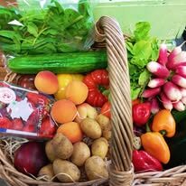 441958965_469904522097635_6176299125633379556_n